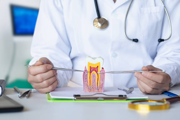 Best Emergency Dental Care for Broken or Chipped Teeth in Vero Lake Estates, FL